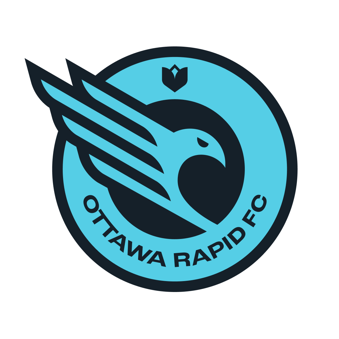 Ottawa Rapid FC
