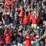 fans at the 2017 Panda game at TD Place