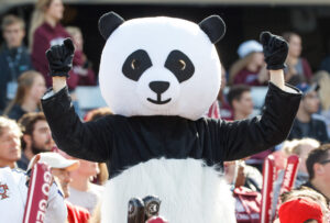 Fan wearing a panda costume
