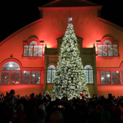 Image showing the tree lighting ceremony at TD Place with tons of people