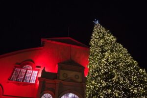 image showing the tree lighting ceremony at lansdowne