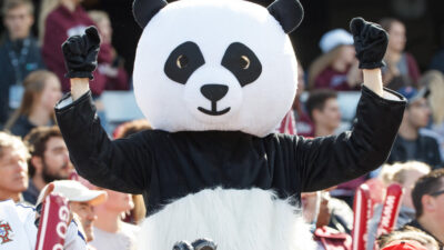 fan in a Panda costume during Panda Game in 2017