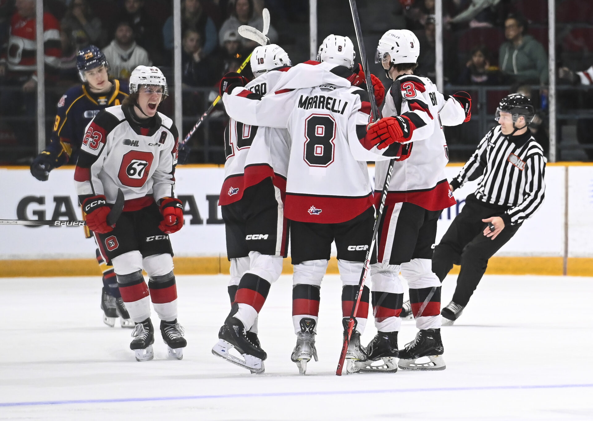 Ottawa 67’s