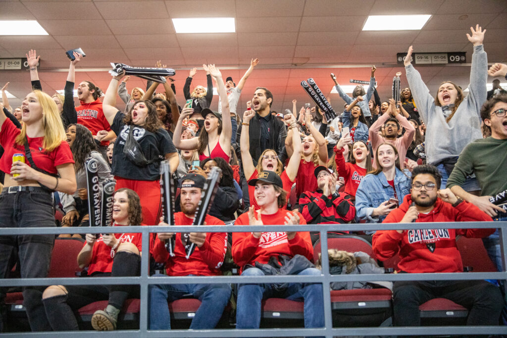 Game fans at a Basketball game