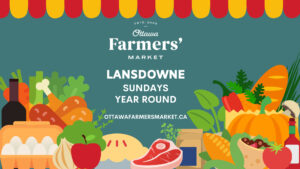 Lansdowne Indoor Market Sundays year-round