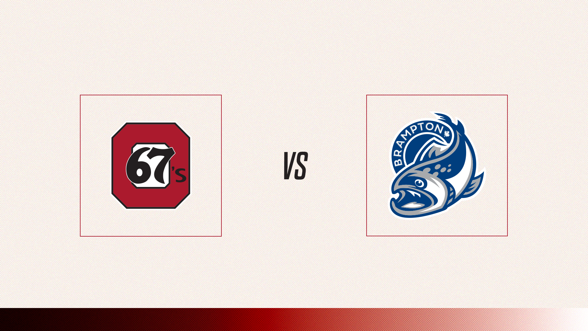 67's Vs. Brampton Steelheads