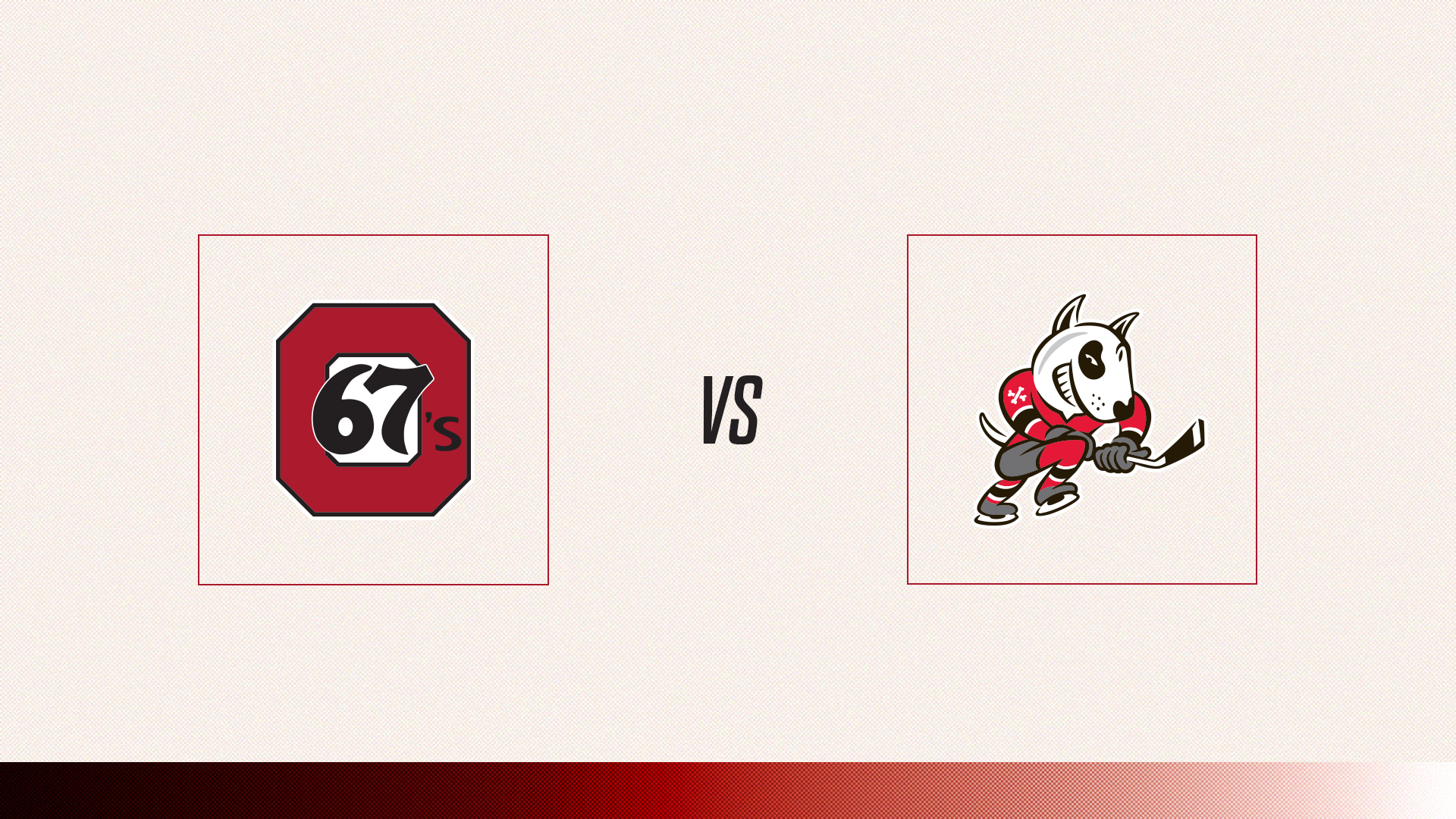 67's Vs. Niagara Icedogs